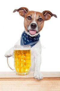 Beer Terrier NMR